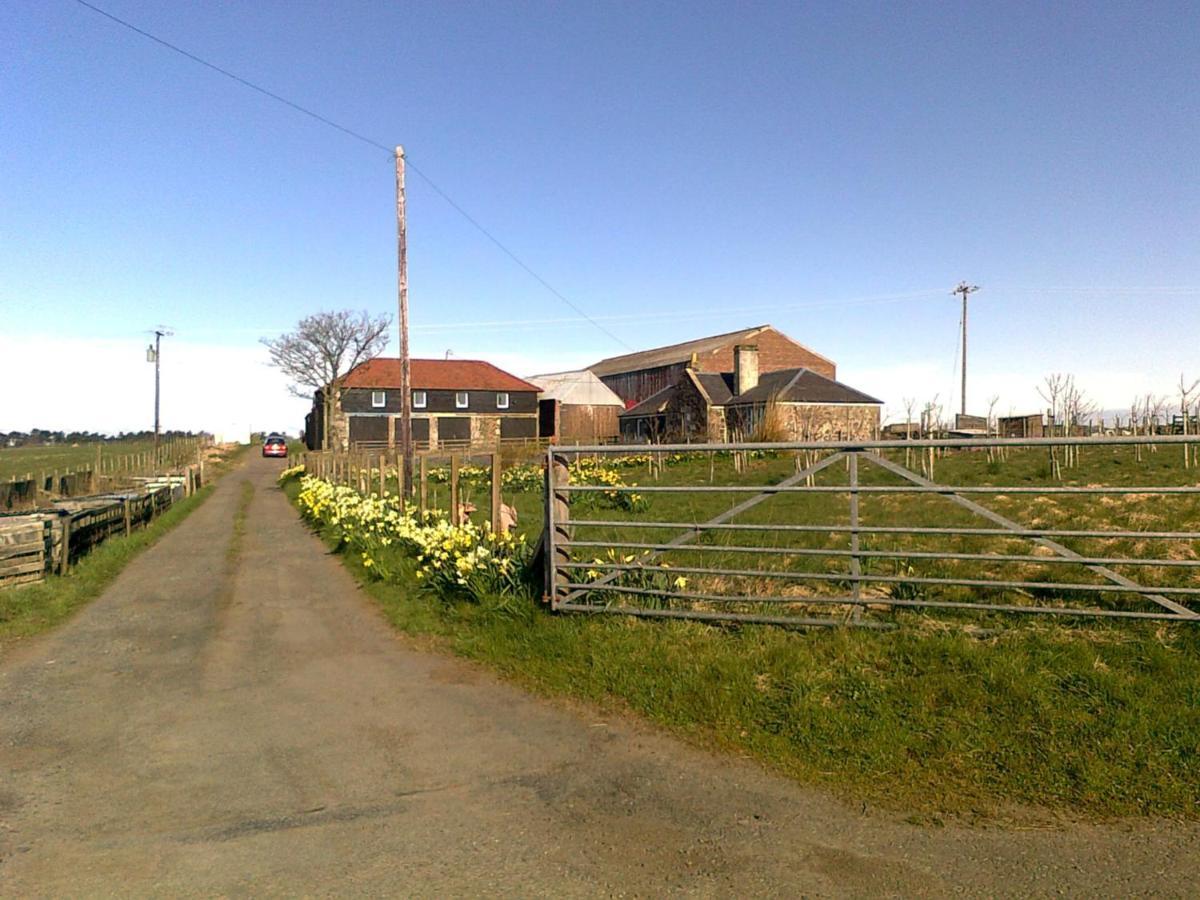 Villa Knightsward Farm near St Andrews, Scotland Anstruther Exterior foto